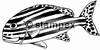 diving stamps motif 2994 - Fish