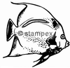 Taucherstempel Motiv 3041 - Fische