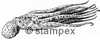 Taucherstempel Motiv 7252 - Krake, Kalmar, Octopus, Sepia
