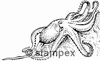 Taucherstempel Motiv 7258 - Krake, Kalmar, Octopus, Sepia