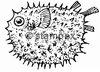 diving stamps motif 3201 - Pufferfish/Blowfish