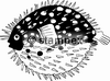 Le tampon encreur motif 3205 - Poisson coffre