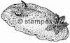 diving stamps motif 1003 - Nudibranch/Slug