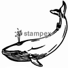 Le tampon encreur motif 3802 - Baleine